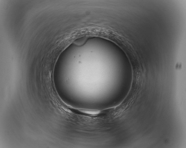 X0000113331489200909141414
