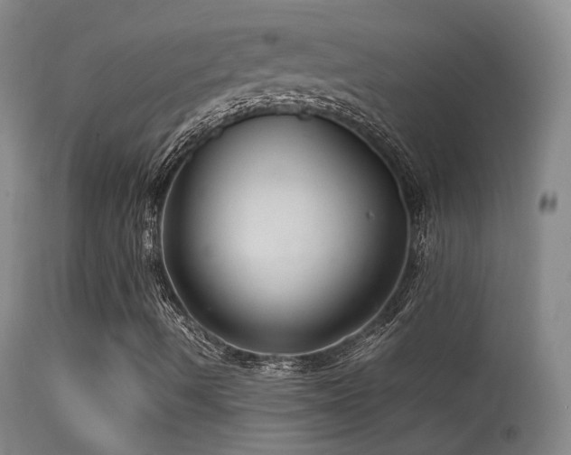 X0000113331490200909141414