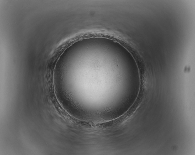 X0000113331494200909141414