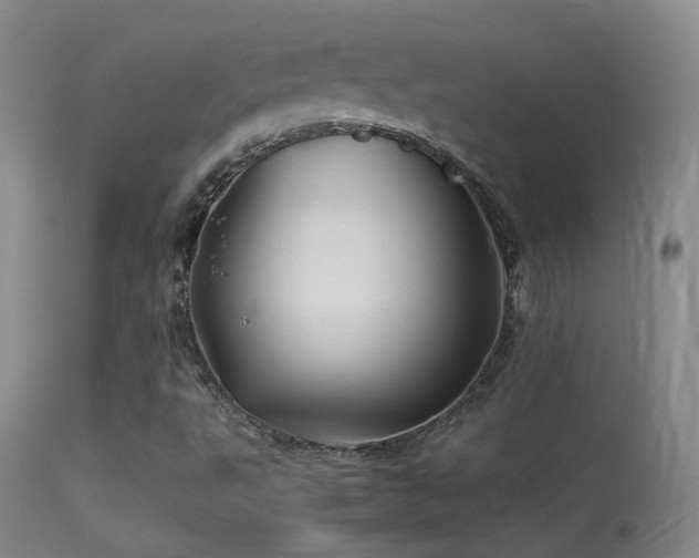 X0000113331495200909141414