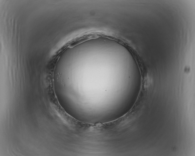 X0000113331496200909141414