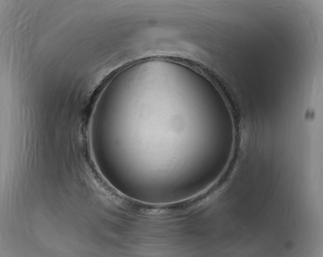 X0000113331497200909141414
