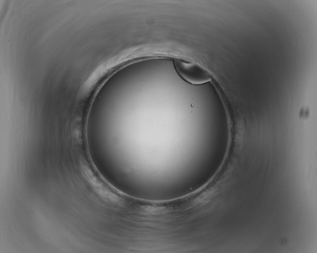 X0000113331499200909141414