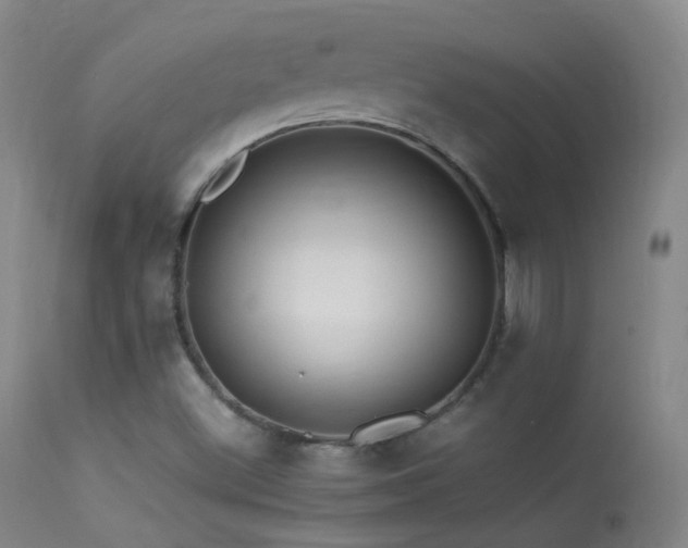 X0000113331500200909141414