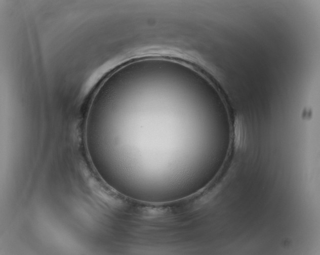X0000113331501200909141414