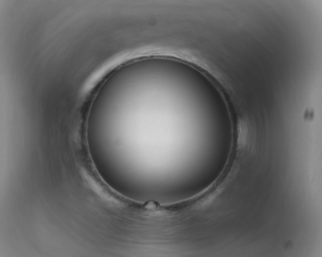 X0000113331502200909141414