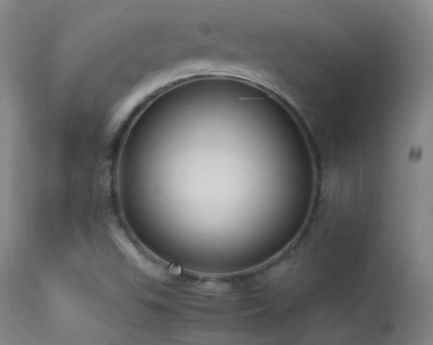 X0000113331503200909141414