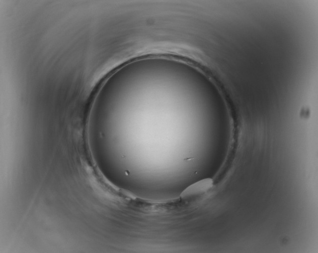 X0000113331505200909141414