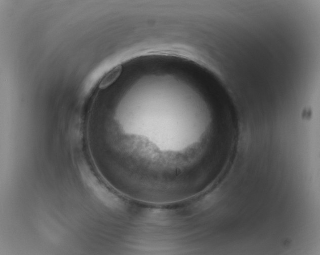 X0000113331506200909141414