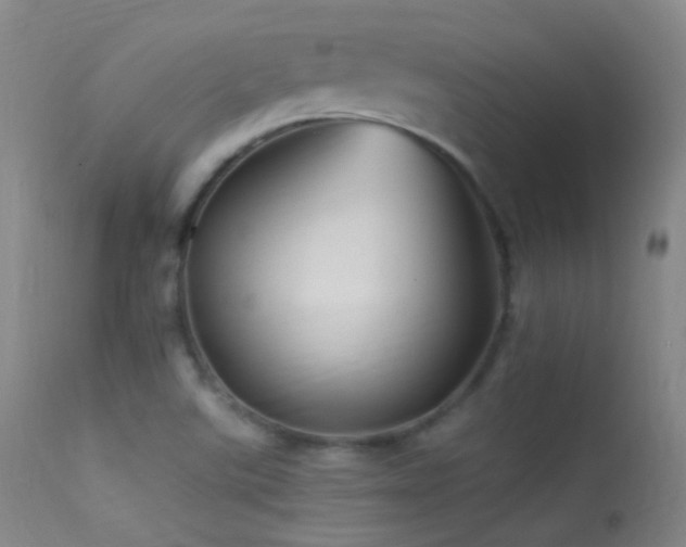 X0000113331507200909141414