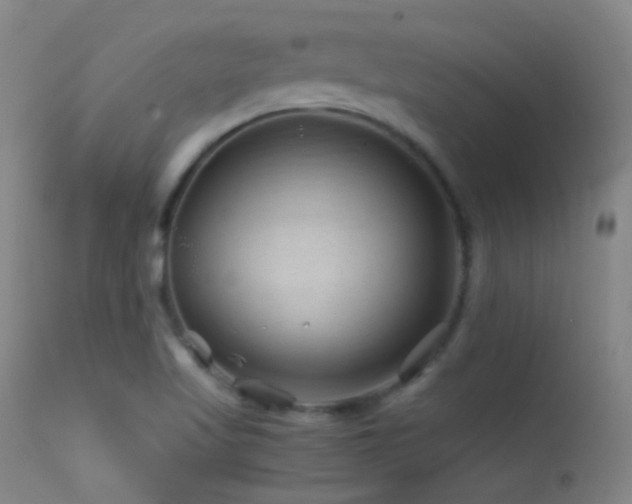 X0000113331509200909141414