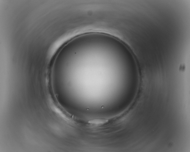 X0000113331511200909141414