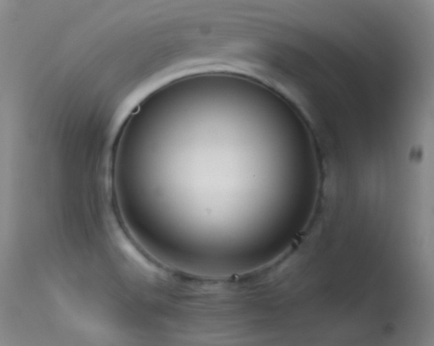 X0000113331516200909141414