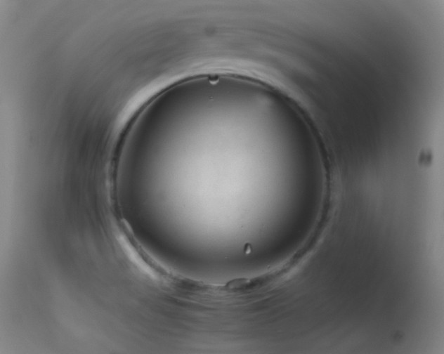 X0000113331517200909141414