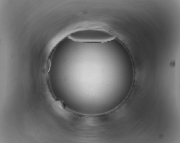 X0000113331520200909141415