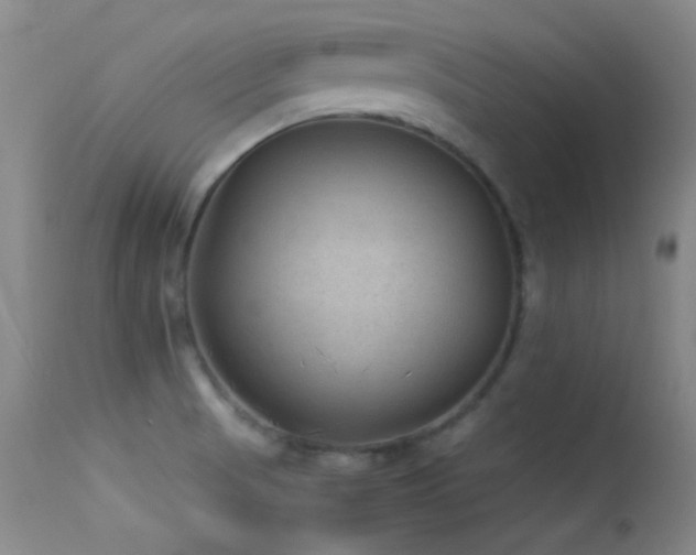 X0000113331521200909141415