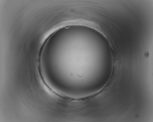 X0000113331523200909141415