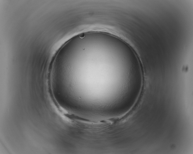 X0000113331525200909141415