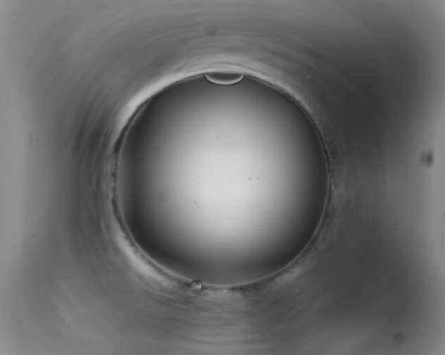 X0000113331526200909141415
