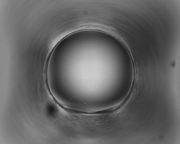 X0000113331533200909141415