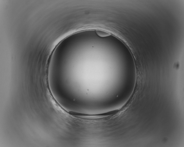 X0000113331534200909141415