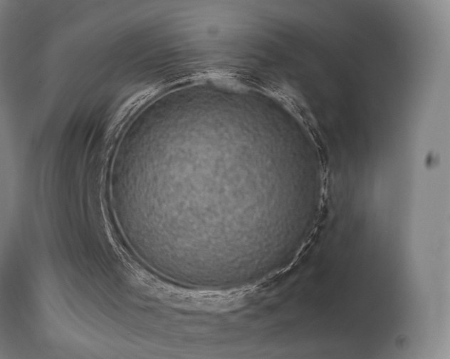 X0000113330001200909211231
