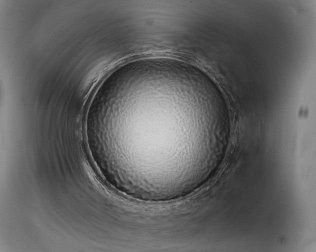 X0000113330002200909211231