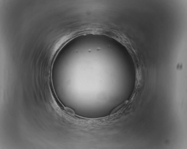 X0000113330003200909211231
