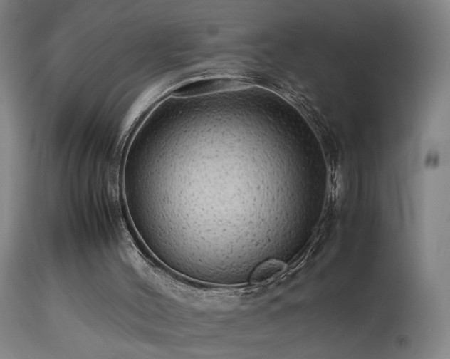 X0000113330004200909211231
