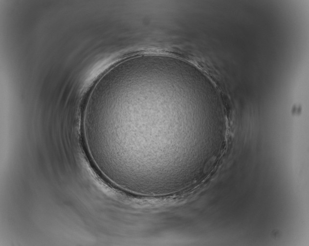 X0000113330005200909211231