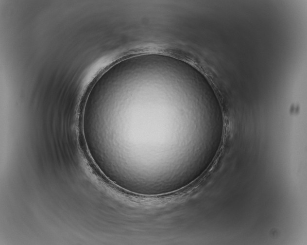 X0000113330006200909211231