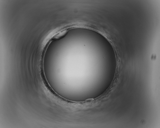 X0000113330007200909211231