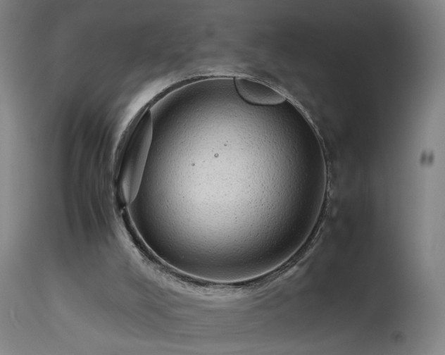 X0000113330008200909211231