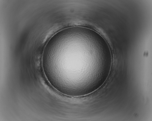 X0000113330010200909211231