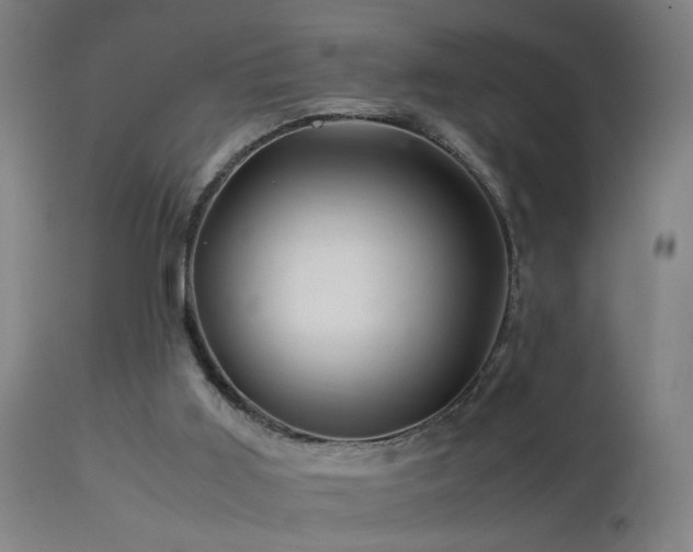X0000113330011200909211231