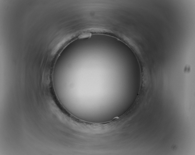 X0000113330015200909211231
