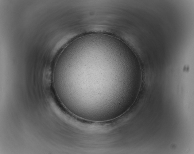 X0000113330016200909211231