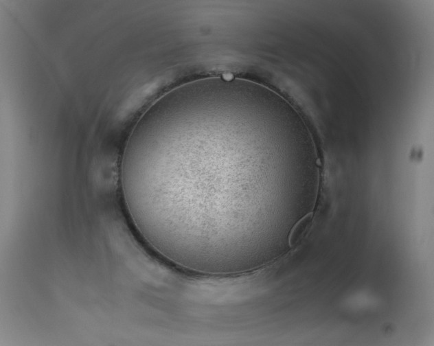 X0000113330017200909211231