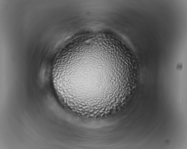 X0000113330018200909211231