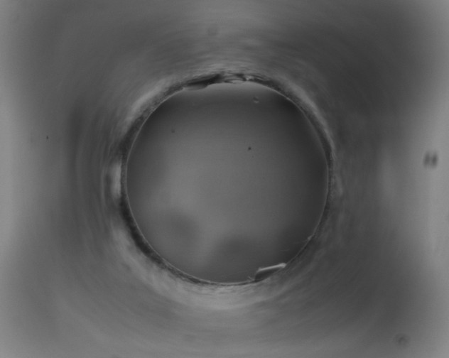 X0000113330019200909211231