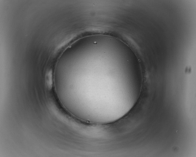X0000113330020200909211231