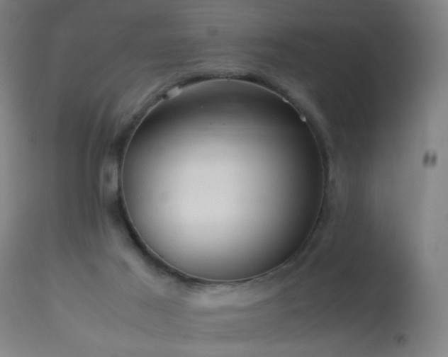 X0000113330021200909211231