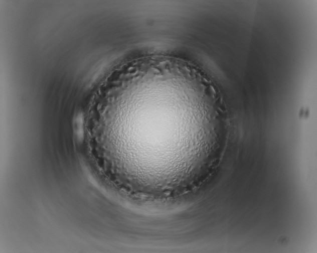 X0000113330022200909211231