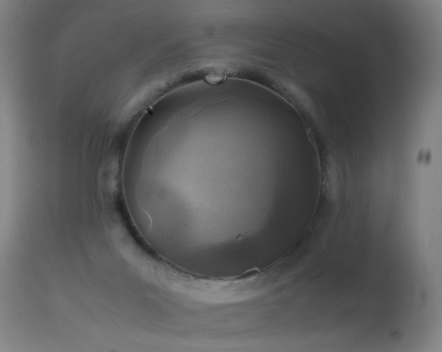 X0000113330023200909211231