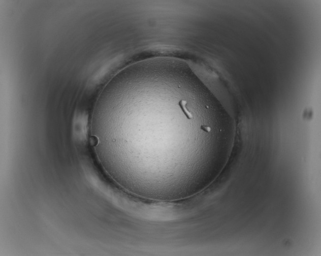 X0000113330024200909211231