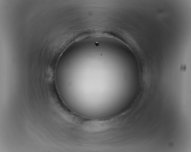 X0000113330025200909211231