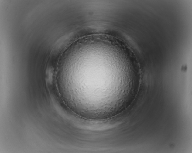X0000113330026200909211231