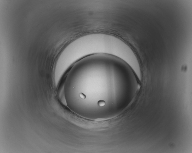 X0000113330027200909211231