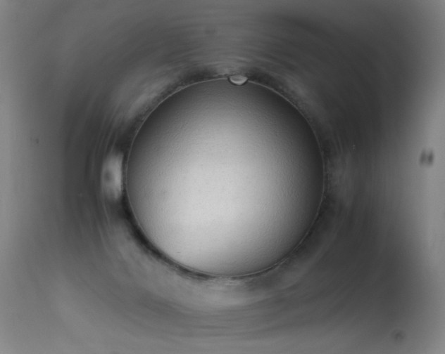 X0000113330028200909211231