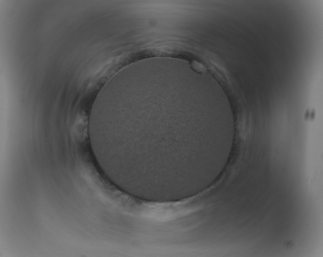 X0000113330029200909211231